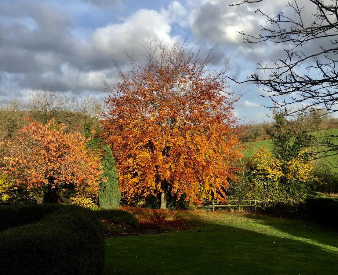 Valley View Farm, Batcombe Bed and Breakfast Shepton Mallet Esterno foto